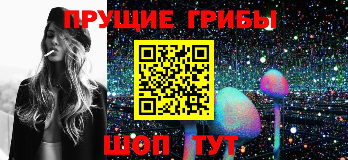 Псилоцибиновые грибы Psilocybine cubensis Краснознаменск