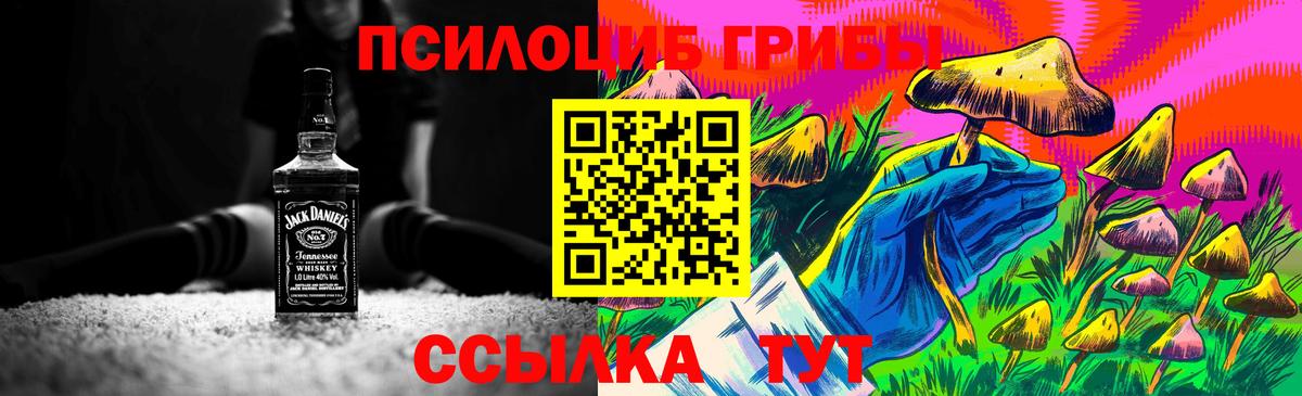 Псилоцибиновые грибы Cubensis  Псилоцибиновые грибы Magic Shrooms  Краснознаменск  Вход с VPN 